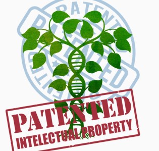 patentado